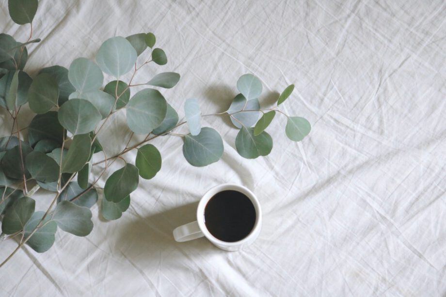 een kopje koffie naast een plant.